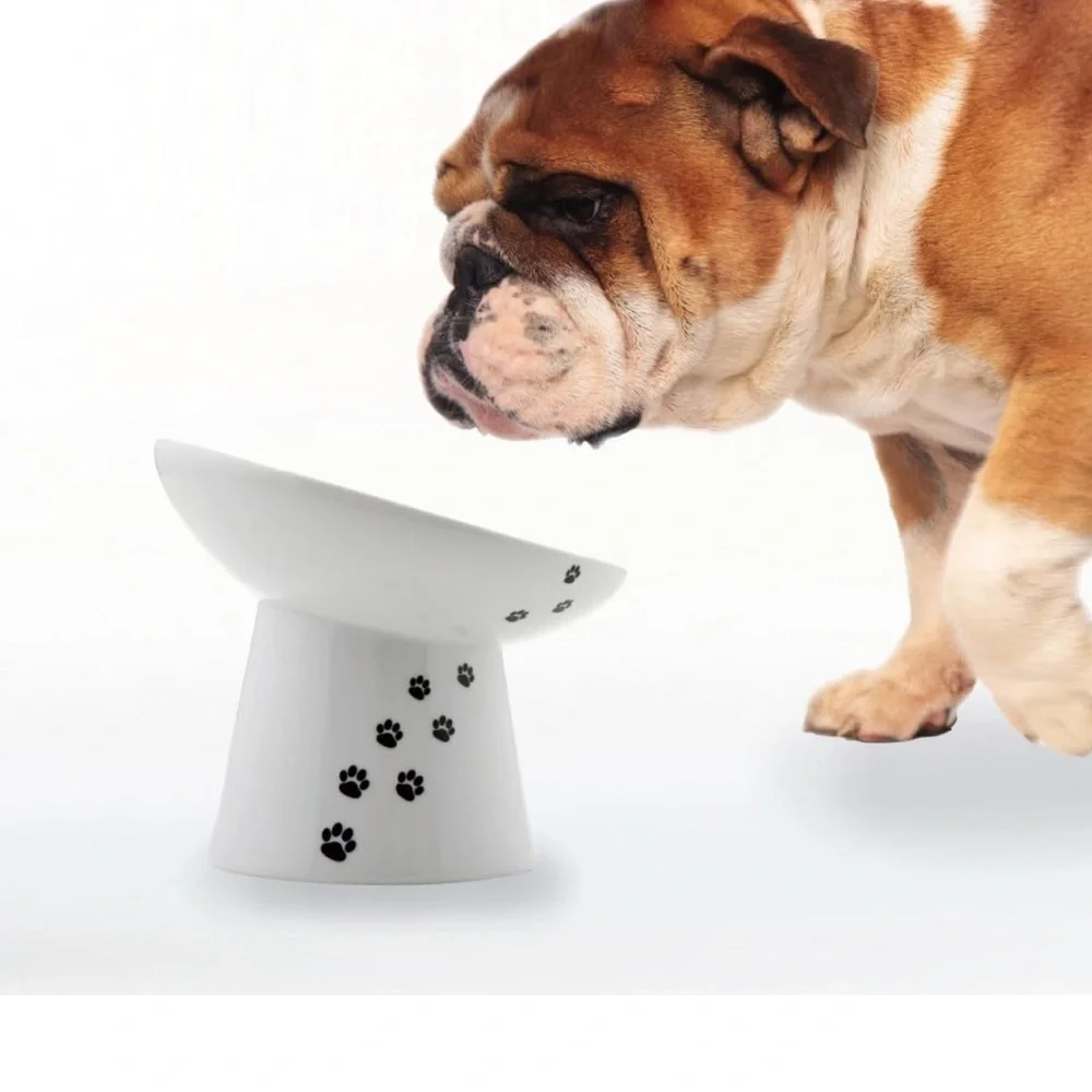 White Pet Bowl with Black Paw Prints